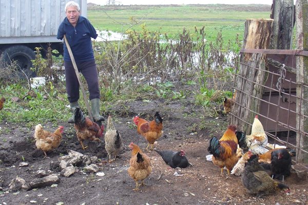 Вкъщи Георги Здравчев не остава без работа. Той показа пред "24 часа" как храни кокошките, макар че няма ръце.