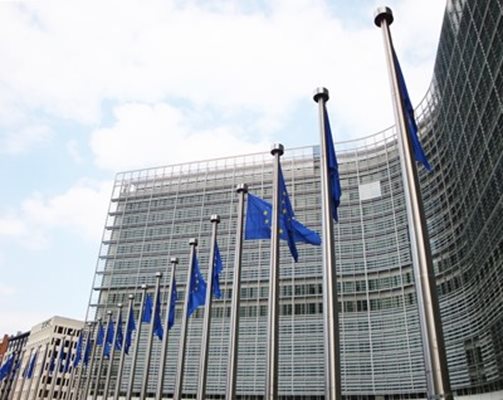 Белгия установи пропуските, довели до атентатите в Париж и Брюксел. Снимка:pixabay