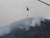 Пожар горя на родопския връх Алада