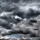 Ветровито и с валежи
СНИМКА: Pixabay