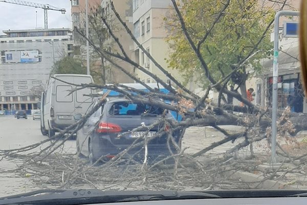 Дърво се е скършило върху кола в жк "Тракия". Снимка: Facebook/Забелязано в Пловдив - Seen in Plovdiv