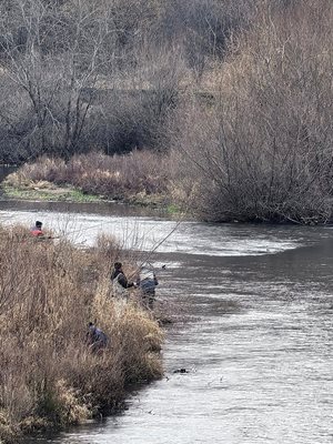 Река Марица край Пазарджик