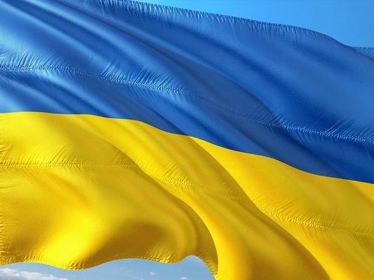 Украински флаг
СНИМКА: Pixabay