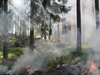 2000 дка сухи треви и храсти горяха
край пазарджишкото градче Ветрен