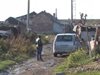 Общински съветник алармира за звуков терор на цигани над съседите им в Русе