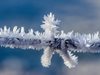 Обширни части от Сибир замръзват при температури под минус 58°C