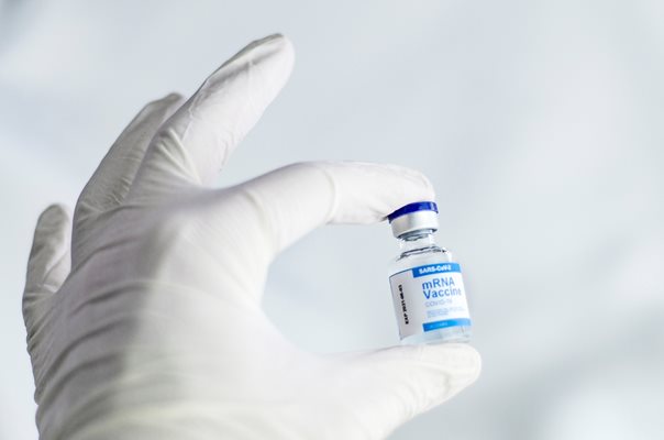Британски учени създадоха универсална ваксина срещу коклюш
СНИМКА: ПИКСАБЕЙ