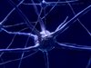 Учени разработиха тест, който може да установи болестта на двигателния неврон