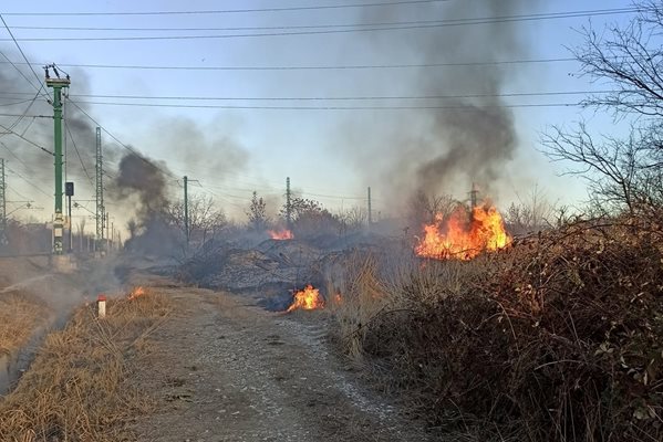 Сухи треви пламнаха в район "Западен". Пловдивчани: Виновните - в затвора