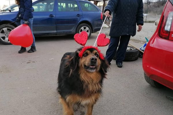 Снимки: Столична община