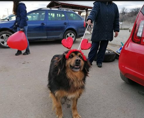 Снимки: Столична община