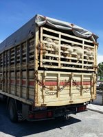 Според информацията в The Guardian , веригите за доставка на месо и живи животни биха могли да бъдат изправени пред значително залавяне , тъй като компаниите призовават за спиране на всички живи животински пратки извън Европа и ограничения за възможно най-кратките пътувания в Европа за борба с болестите по животните.