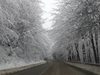 Снегонавявания ограничават движението на тежки камиони по пътя Видин - Монтана

