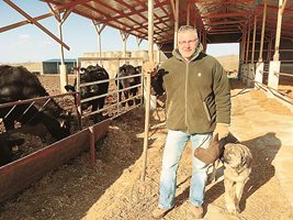 Стоян Чуканов, председател на Управителния съвет на Асоциацията за развъждане на месодайни породи говеда в България: През лятото производството на говеждо месо у нас е смехотворно – като бройка животни и килограми каркас