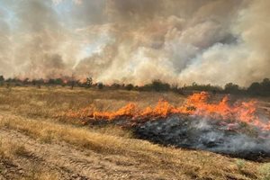 Огнеборци, горски, доброволци и полицаи спасиха от пламъци селата Априлци и Щърково