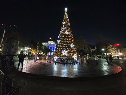 Коледната елха на Пловдив заблестя, но без песни и програма. Снимки: Данислава Вълкова