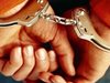 В Сърбия бяха арестувани 16 митничари, ощетили бюджета с 11,5 милиона евро