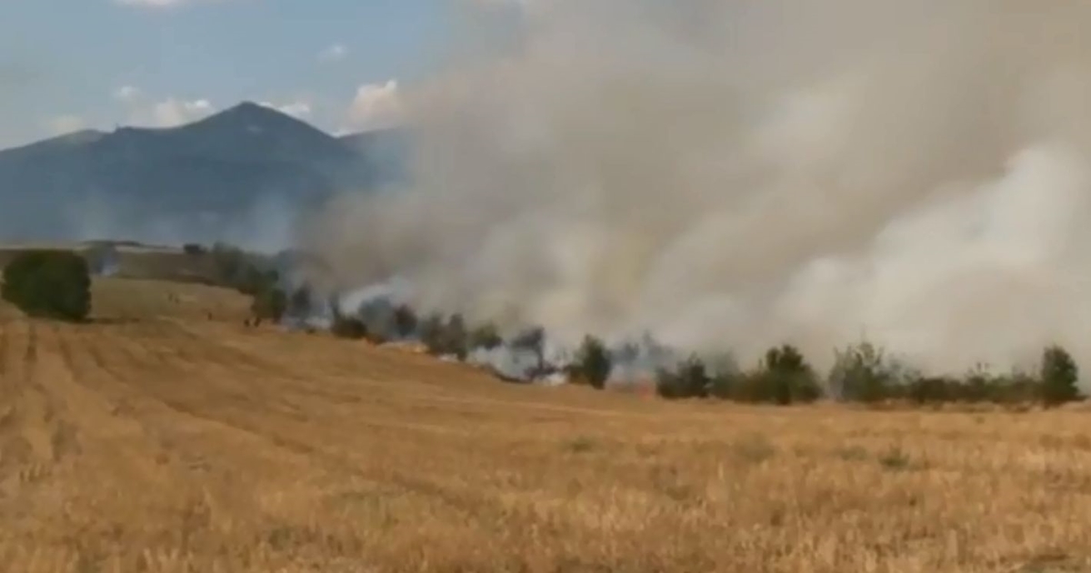 Пожар гори в близост до военния полигон в Казанлък (Видео)