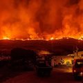 Пожарът на остров Стромболи изпепели половината растителност. СНИМКИ Фейсбук