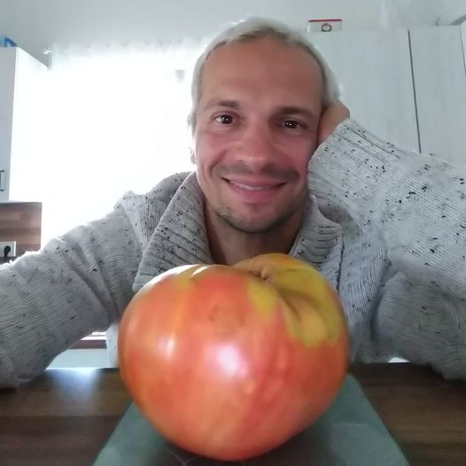 Део отгледа килограм домат