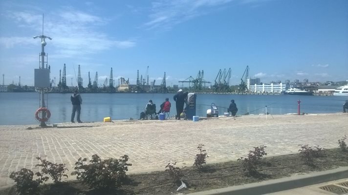 Варненци клечат за гарги над една от дупките в кея на Морска гара.