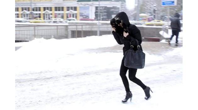 Софиянка се опитва да върви в снежната виелица.
СНИМКА: ДЕСИСЛАВА КУЛЕЛИЕВА