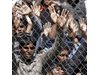 Над 100 хил. сирийци са се върнали в страната си от Турция 
