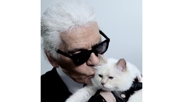 Карл Лагерфелд с котката Шупет СНИМКА: инстаграм/choupettesdiary