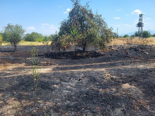 Миналата седмица пак имаше пожар в Скутаре.