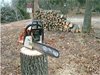Горски даряват 500 кубика дървесина на Хитрино