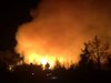 Пожар в Северна Македония до нашата граница, горски палят насрещен огън да не мине у нас