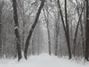 Сняг, лошо време и минусови температури на Балканите