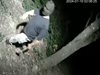 Маскиран потроши с чук камери в парка в Димитровград (Видео)