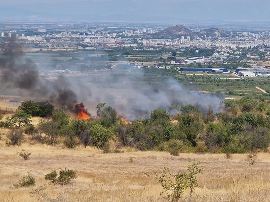 Вятърът пречи за бързото овладяване на пожара между Марково и Пловдив. Снимка: Александър Георгиев