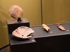 Амулети от човешки черепи носели по нашите земи преди 70 века (Снимки)