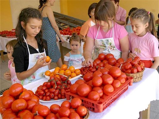 Децата се запознават с качествата на българските домати. 
СНИМКИ: НАТАША МАНЕВА