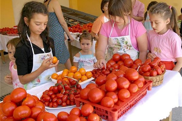 Децата се запознават с качествата на българските домати. 
СНИМКИ: НАТАША МАНЕВА