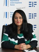 Лиляна Павлова: Групата на ЕИБ е в активно сътрудничество с банковия сектор в България