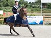 Румънец спечели световната купа по конен спорт в Божурище