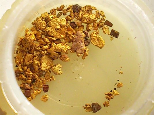 Намерените златинки се побират в капачка от минерална вода.