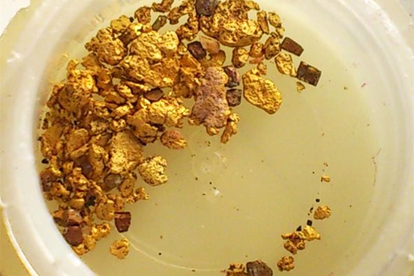 Намерените златинки се побират в капачка от минерална вода.
