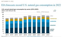 Докато Европа се гърчи за енергия, САЩ с рекорд в потреблението на газ