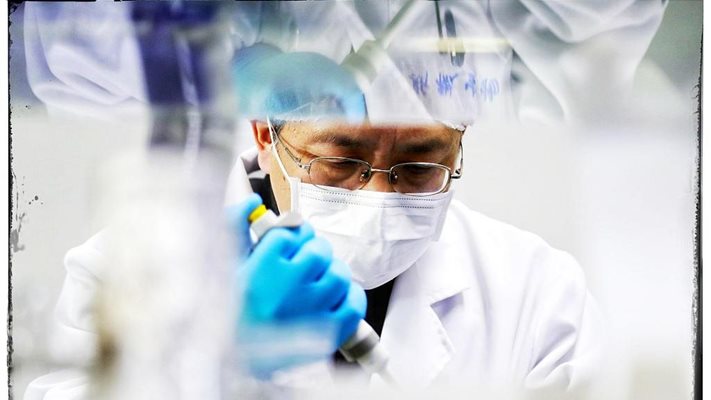Китайски учени изготвиха първия в света международен стандарт за стволови клетки
|