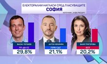 "Алфа рисърч": Терзиев - 29,8%, Хекимян - 21,1%, Ваня Григорова - 20,2%