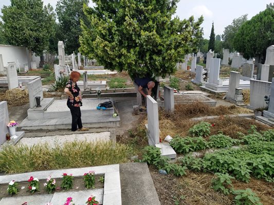 Близки на починали почистват гробовете на централните гробища в Пловдив.