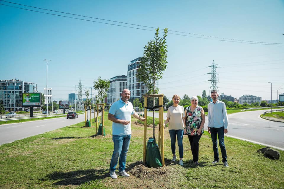 Засадиха 65 дръвчета по бул. "България" в София