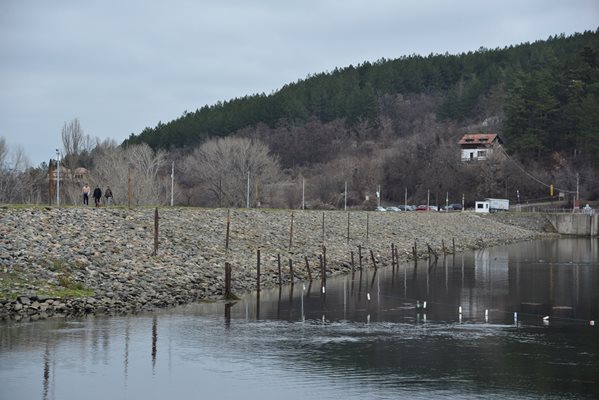 Близо до стената на Панчаревския язовир водата е
 вече видимо зеленикава.
СНИМКА: ЙОРДАН СИМЕОНОВ