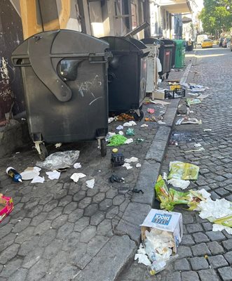Разпилени отпадъци, придружени с воня, е всекидневие зад бившите централни хали. Снимки: Нели Михайлова