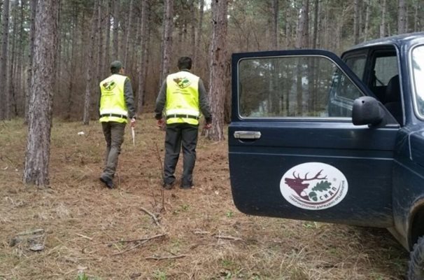 Служители на Североизточнотото държавно предприятие СНИМКА: Архив