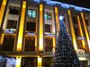На 2 декември светва Коледната 
елха в Горна Оряховица